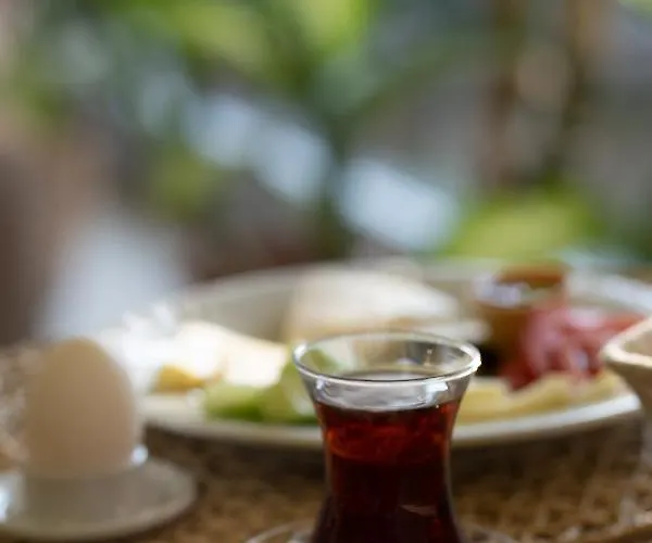 Szálloda Life Gulluk